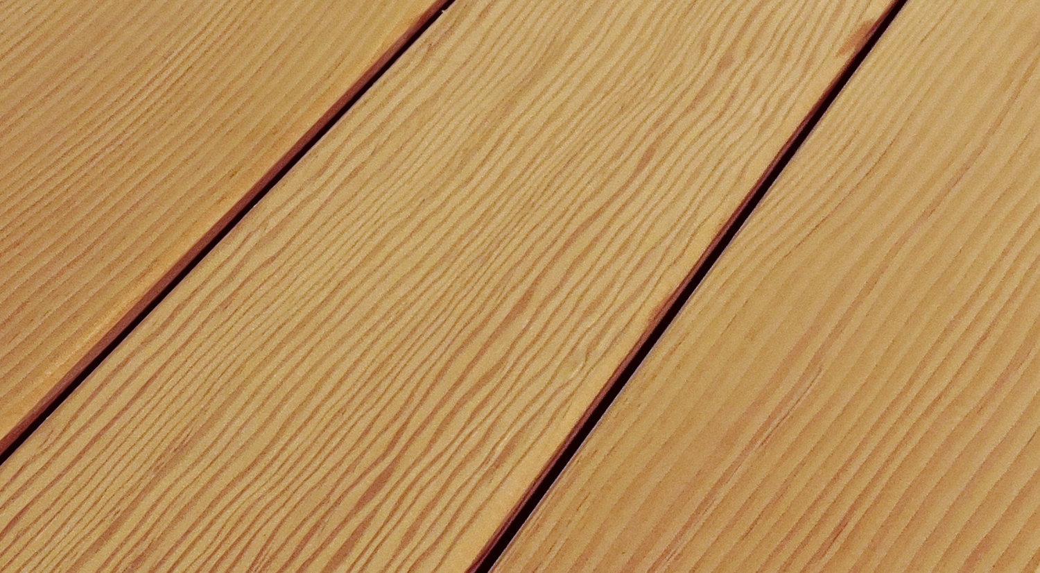 Canadian Douglas / Kanadische Douglasie